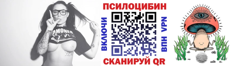 Купить  Печоры  Псилоцибиновые грибы Psilocybe 